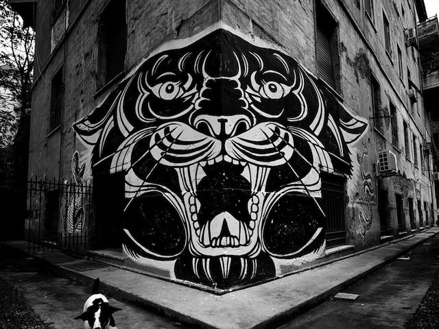 Tiger painted on a wall in Rome